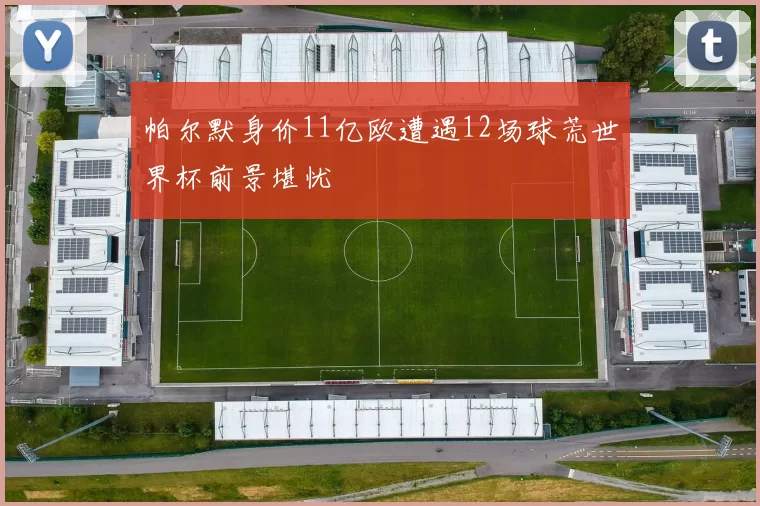 帕尔默身价11亿欧遭遇12场球荒世界杯前景堪忧